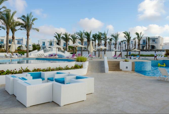 8295184 - Property Image 2