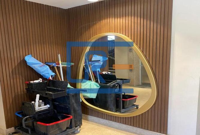 7966636 - Property Image 3