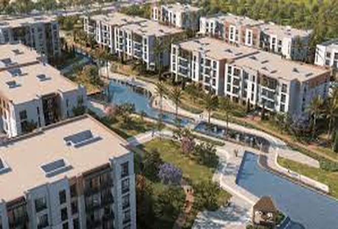 7984700 - Property Image 3