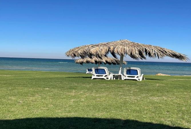 8182137 - صورة العقار 3