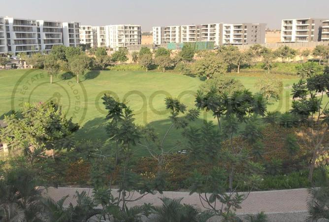 8391020 - صورة العقار 2