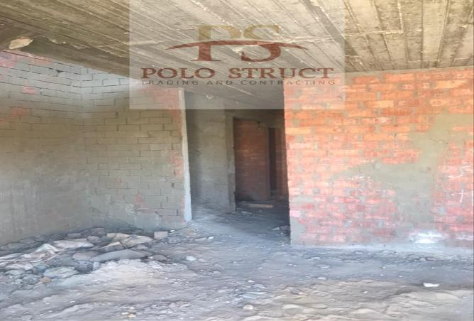 7985056 - Property Image 3