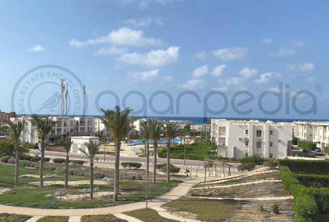 7106832 - صورة العقار 3