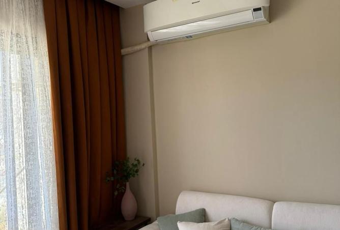 8237202 - Property Image 3