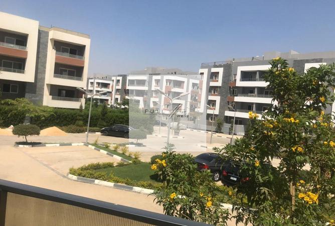 8066817 - صورة العقار 3