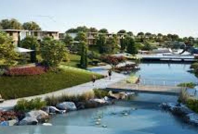 8420060 - Property Image 3