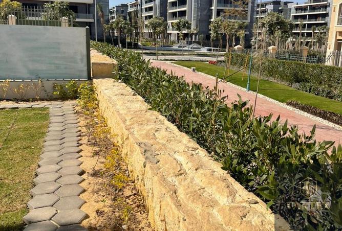 8467548 - Property Image 3