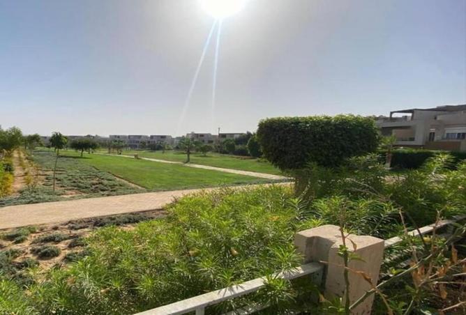 8016041 - Property Image 2
