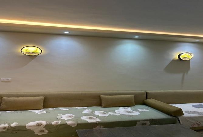 8240391 - Property Image 3