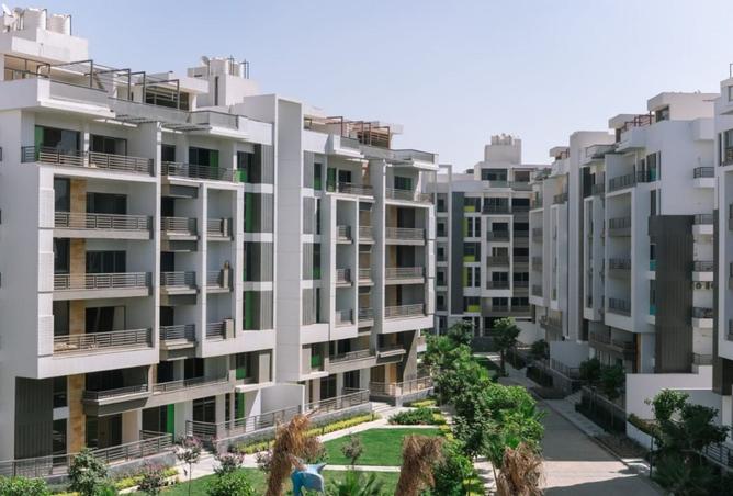 8324194 - Property Image 3