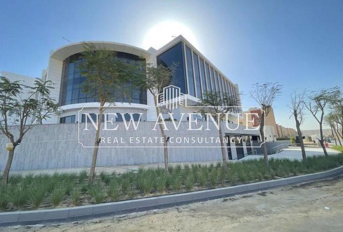 7942432 - Property Image 3