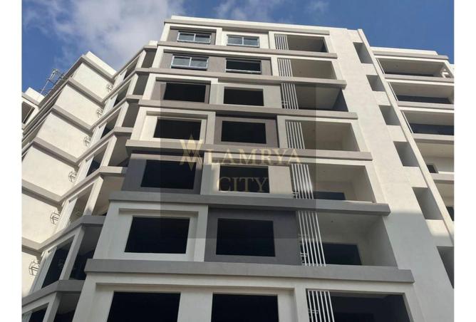 8344713 - Property Image 3