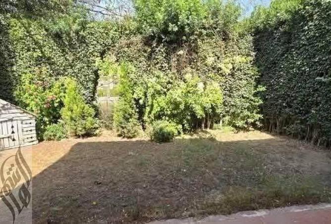 8253728 - صورة العقار 3