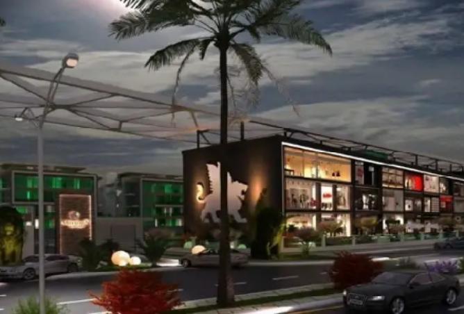 8441041 - Property Image 2