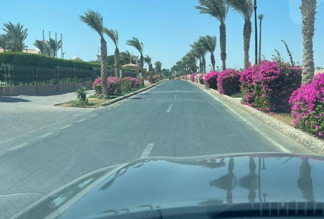8035407 - صورة العقار 3