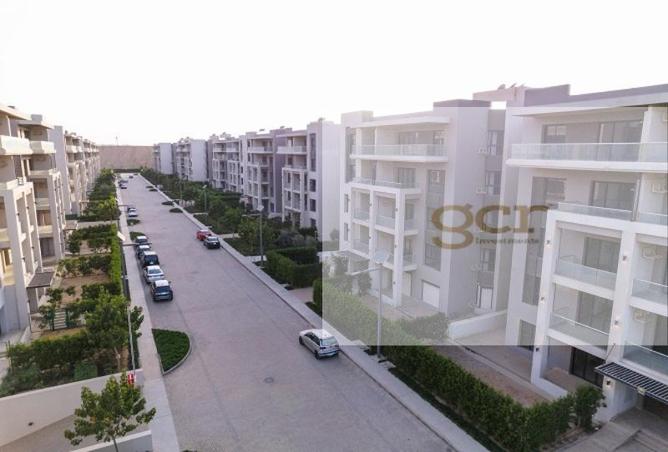 8195677 - Property Image 3