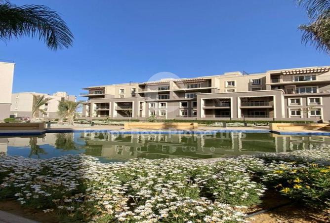 8221935 - Property Image 3