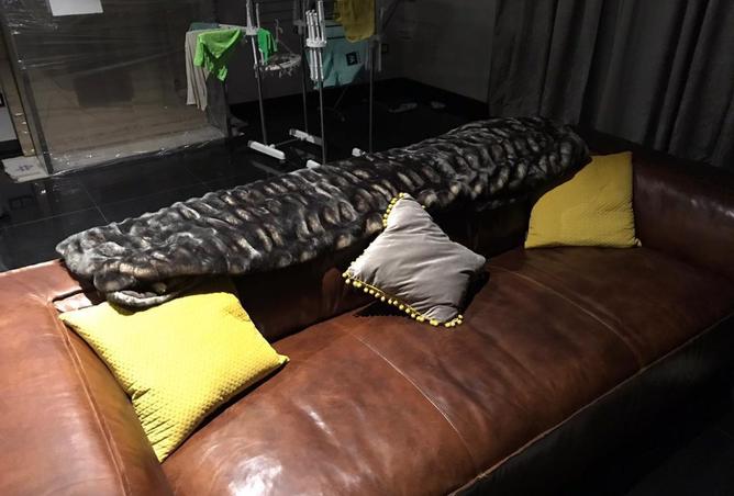 8312052 - Property Image 3