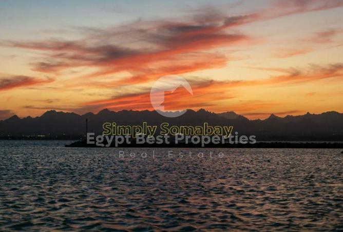 8053990 - صورة العقار 2