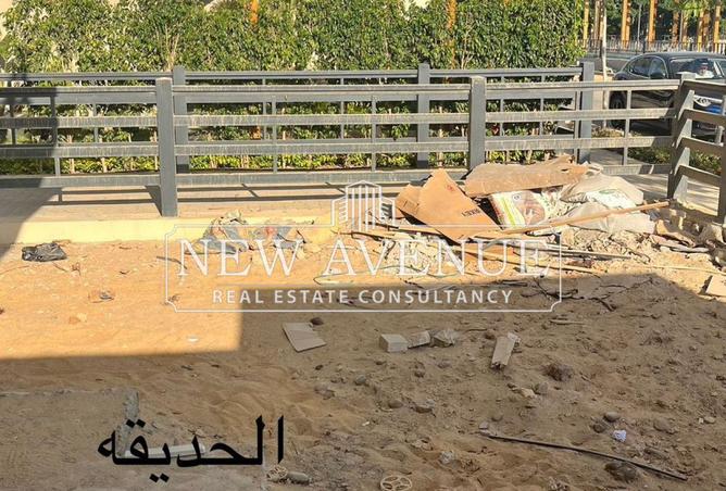 8394815 - Property Image 3