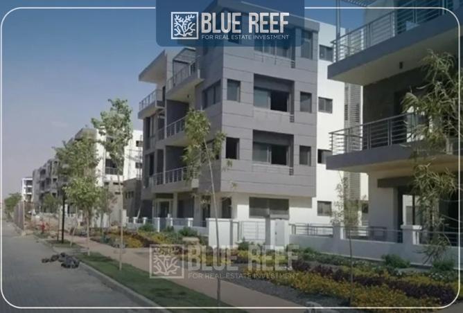 8410610 - Property Image 2