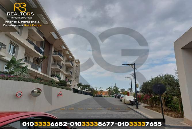 7988353 - Property Image 3