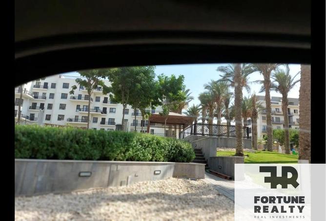 8341451 - Property Image 3