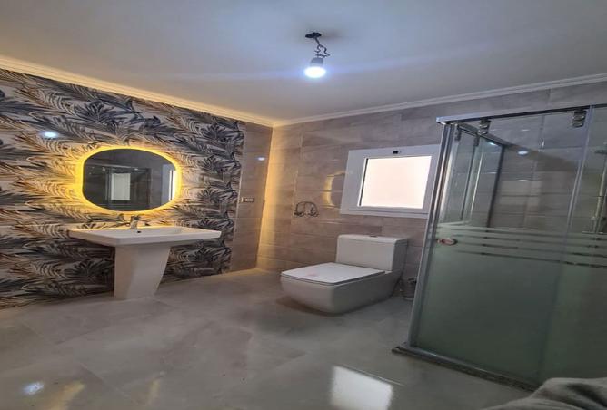 8146353 - Property Image 3