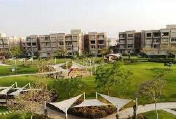 8095287 - Property Image 3