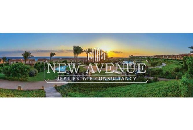 8195515 - Property Image 2