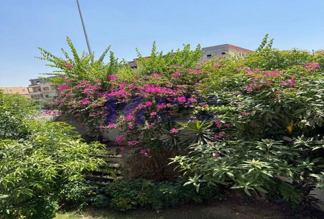 7902488 - صورة العقار 2
