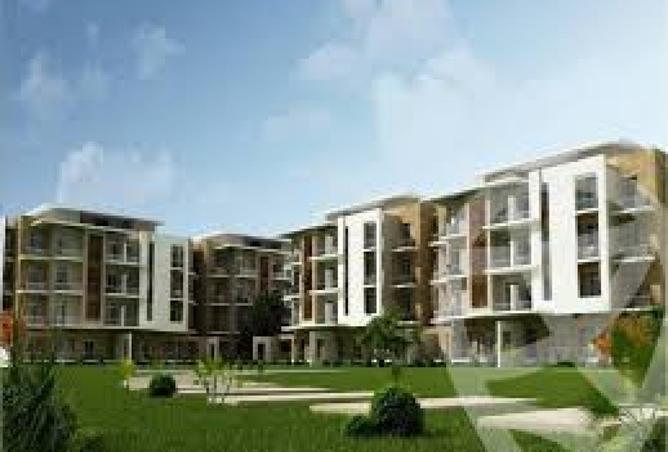 8390798 - صورة العقار 3