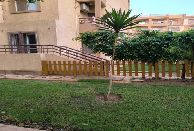 8146524 - صورة العقار 3