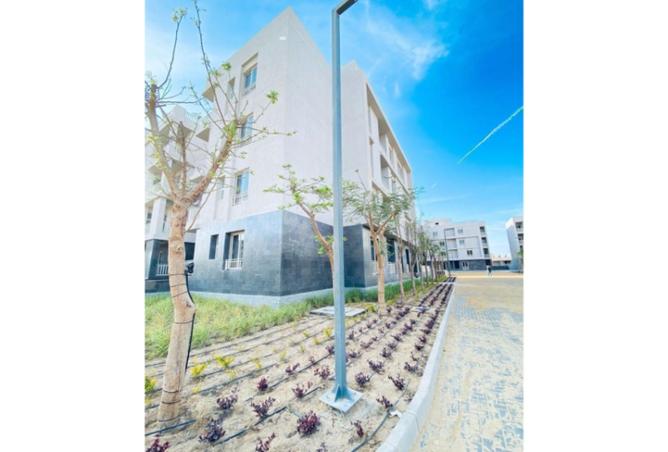 8273532 - صورة العقار 2