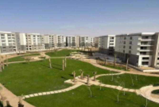 8036370 - صورة العقار 3