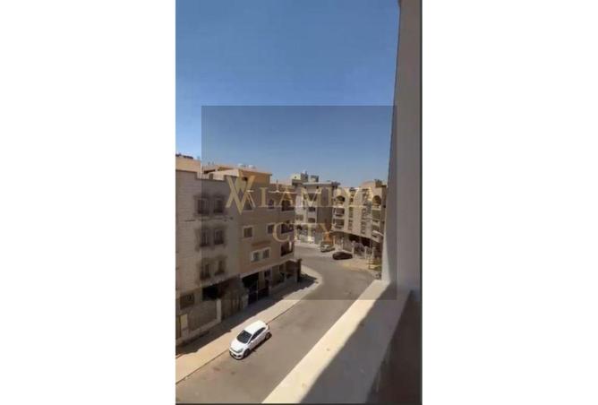 7996968 - Property Image 3