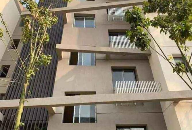 8317734 - Property Image 3