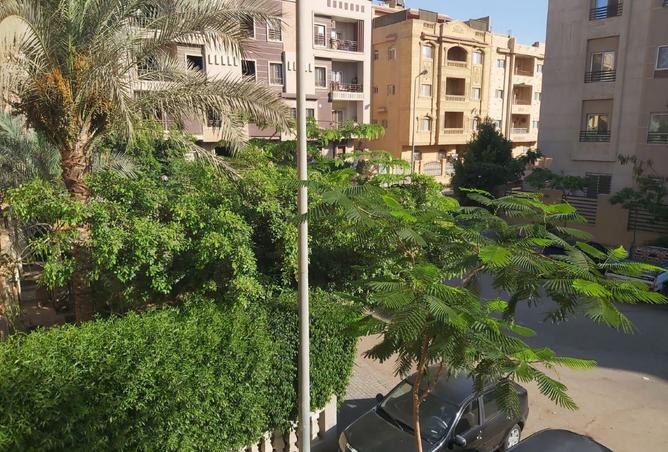 8061699 - صورة العقار 3