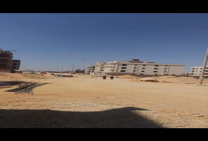7980063 - Property Image 3