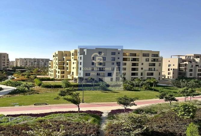 8039373 - Property Image 3