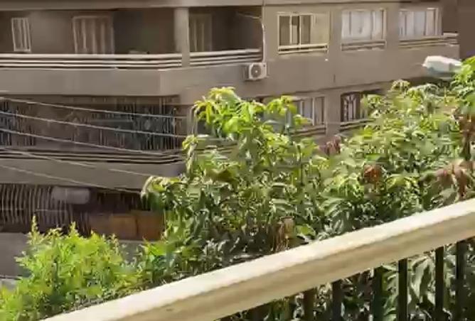 7930922 - صورة العقار 3