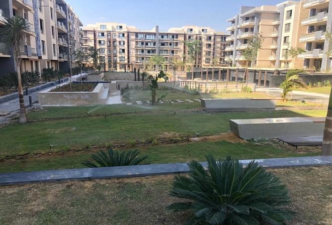 8431618 - صورة العقار 3