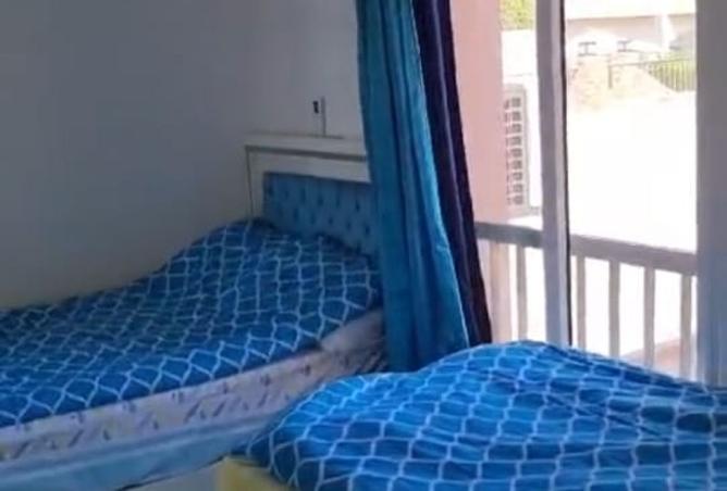 8265228 - Property Image 3