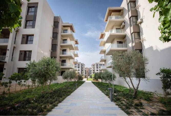 8223378 - الصورة الرئيسية للعقار