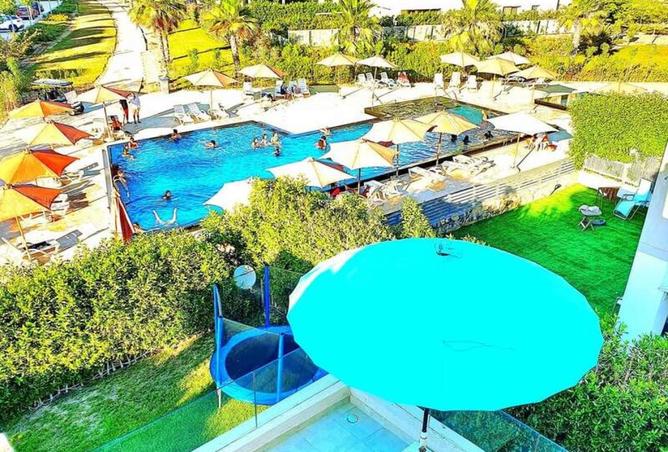 8561217 - Property Image 3