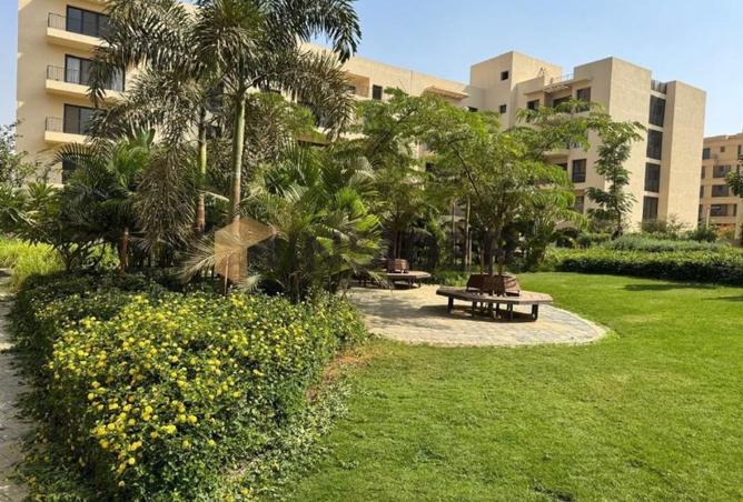 8199838 - Property Image 3