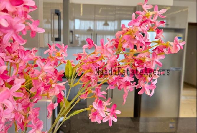 8440226 - صورة العقار 3