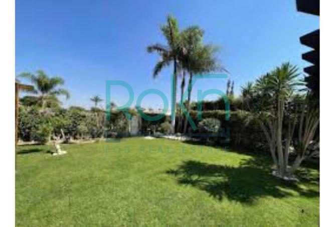 8378347 - Property Image 3