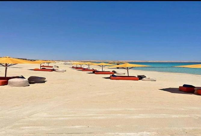 7986088 - صورة العقار 2