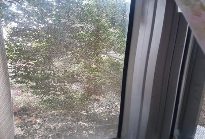 7982801 - Property Image 2
